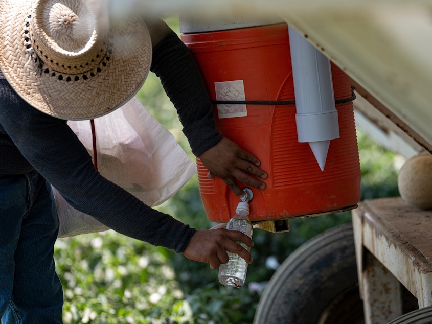 caption: A worker fills a bottle with water on a farm during a drought in Firebaugh, California, U.S., on Tuesday, July 13, 2021.