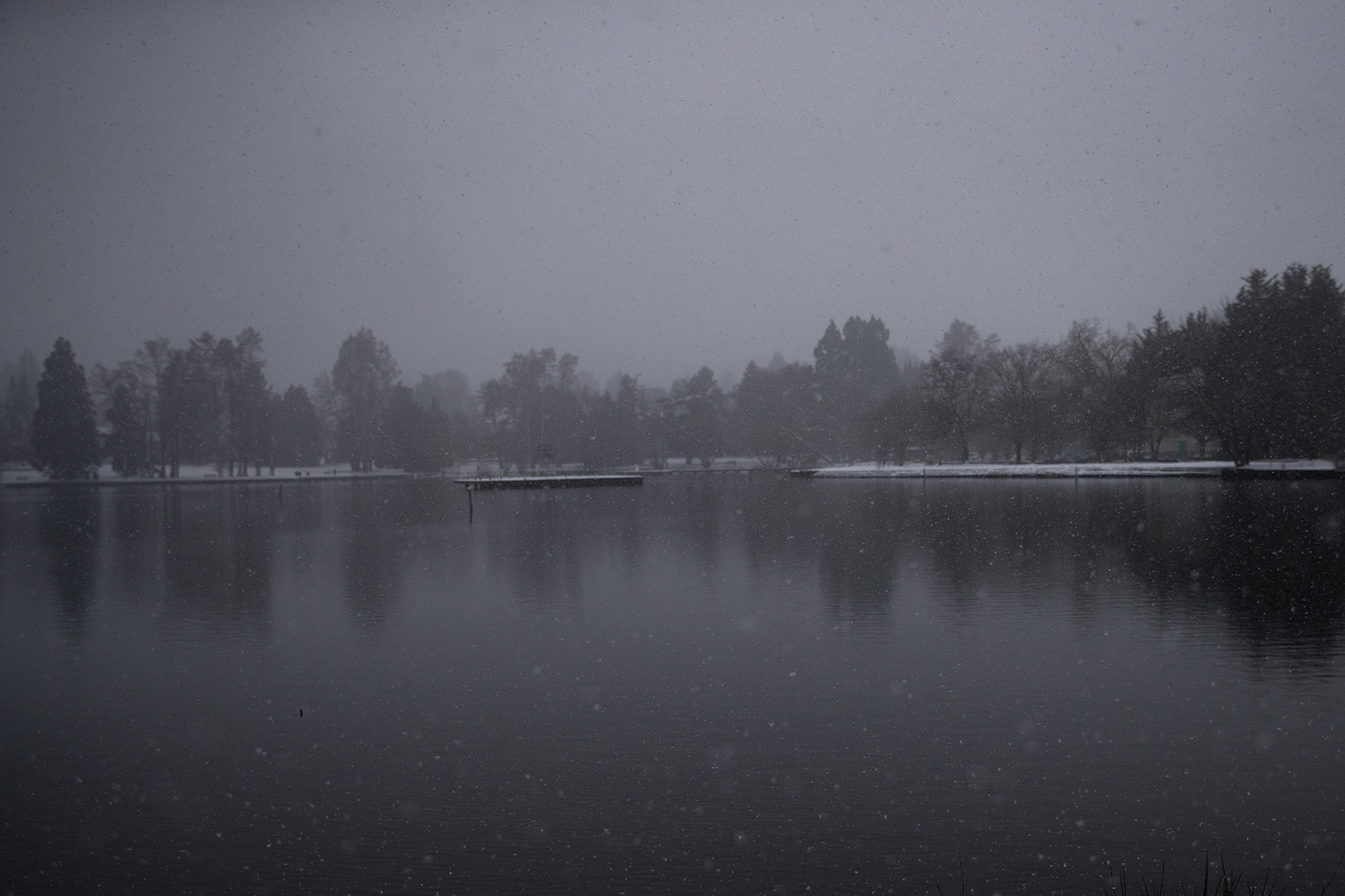 caption: Snow falls at Green Lake on Monday, February 11, 2019, in Seattle.
