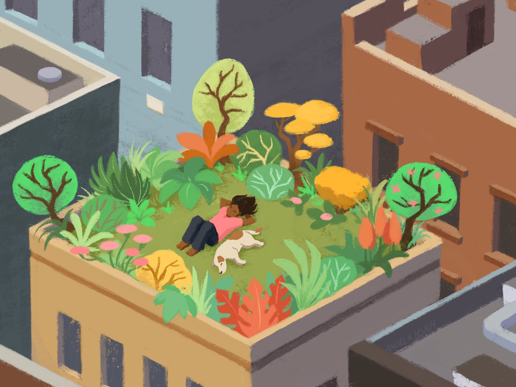 caption: Researchers say there's growing evidence that nature has a powerful effect on us, improving both our physical and psychological health.