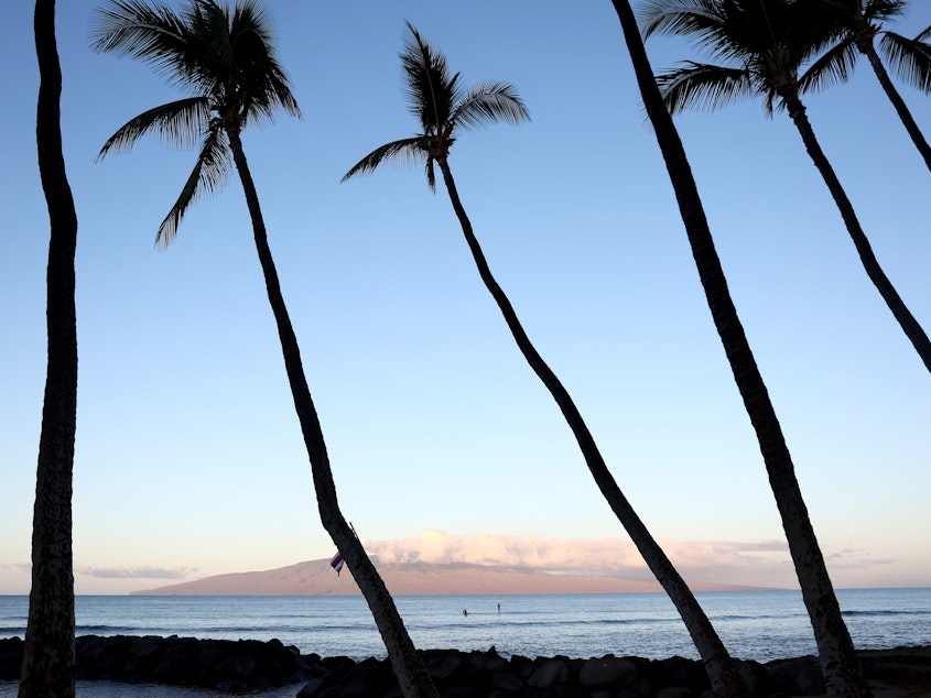 caption: People surf off of Launiupoko Beach Park near Lahaina, Hawaii, in October. A surfer died after encountering a shark on Maui on Saturday.