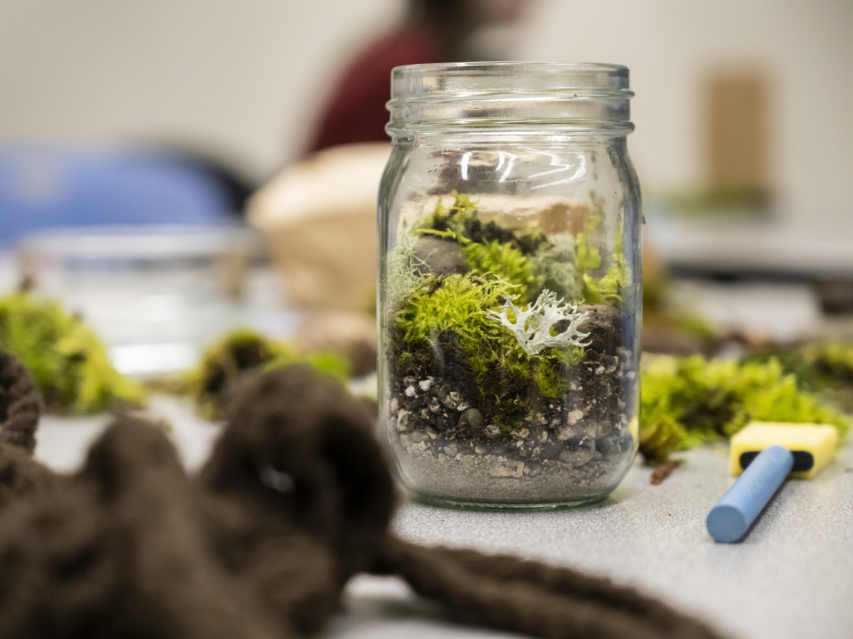 caption: One of the activities at Moss Appreciation Week is a build-your-own-terrarium workshop.