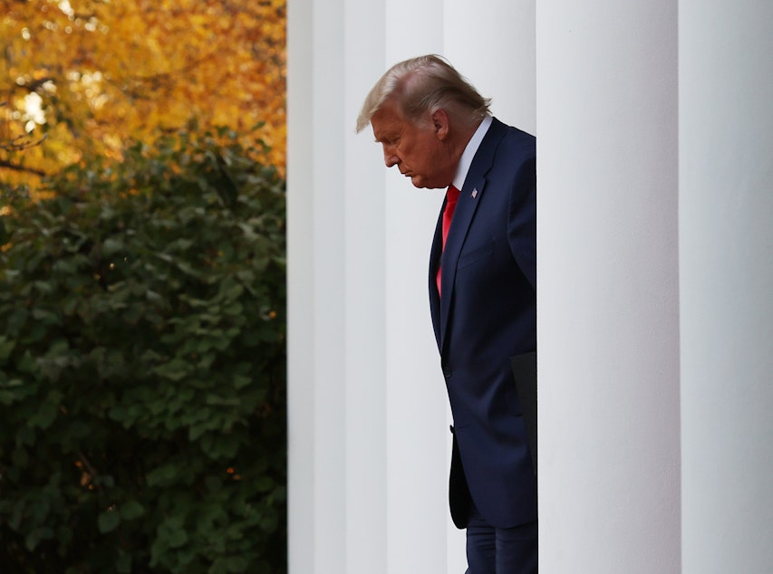 caption: President Donald Trump walks up to speak about Operation Warp Speed in the Rose Garden at the White House on November 13, 2020 in Washington, DC. (Tasos Katopodis/Getty Images)