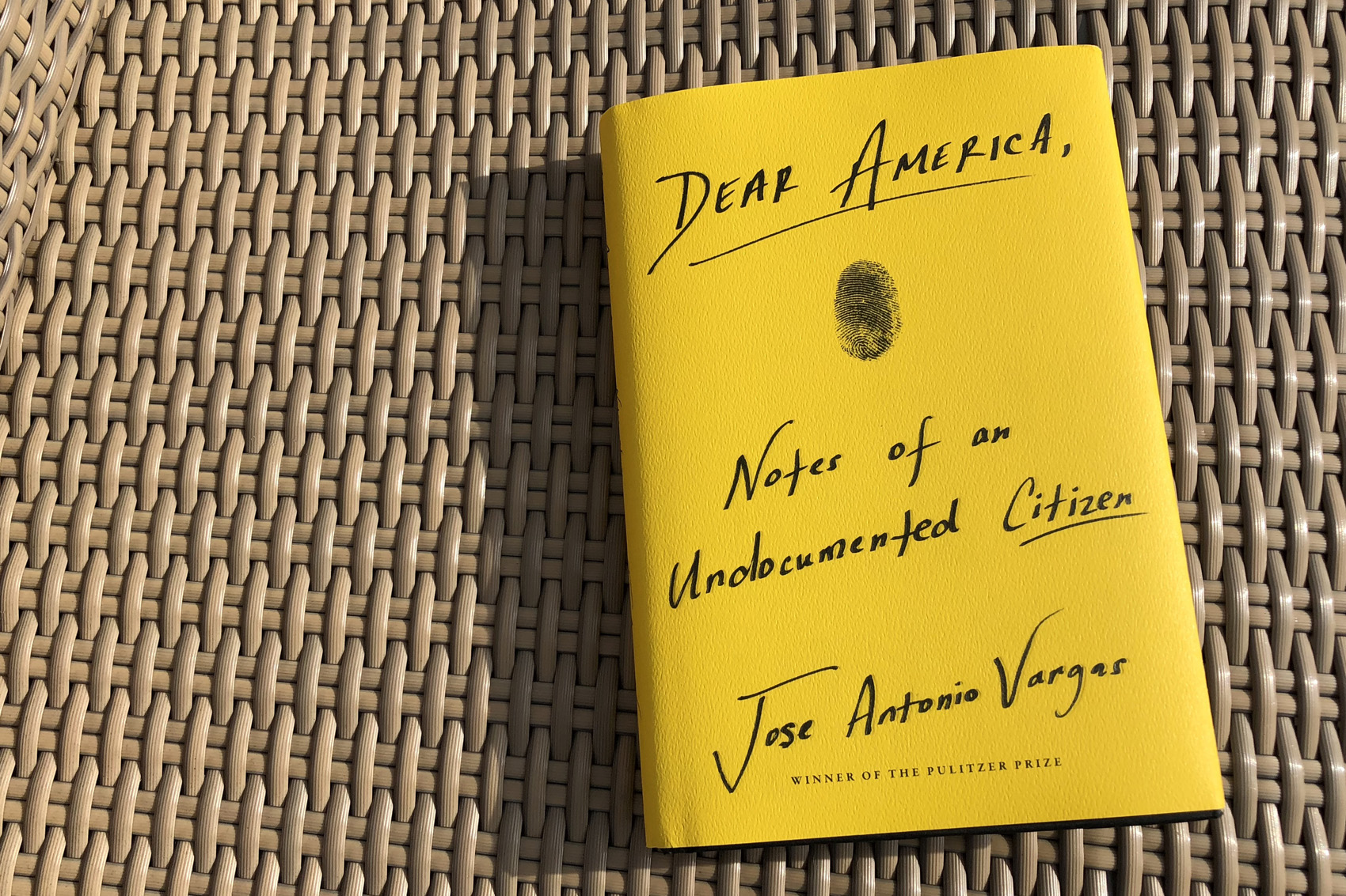 caption: "Dear America," by Jose Antonio Vargas. (Alex Schroeder/On Point)