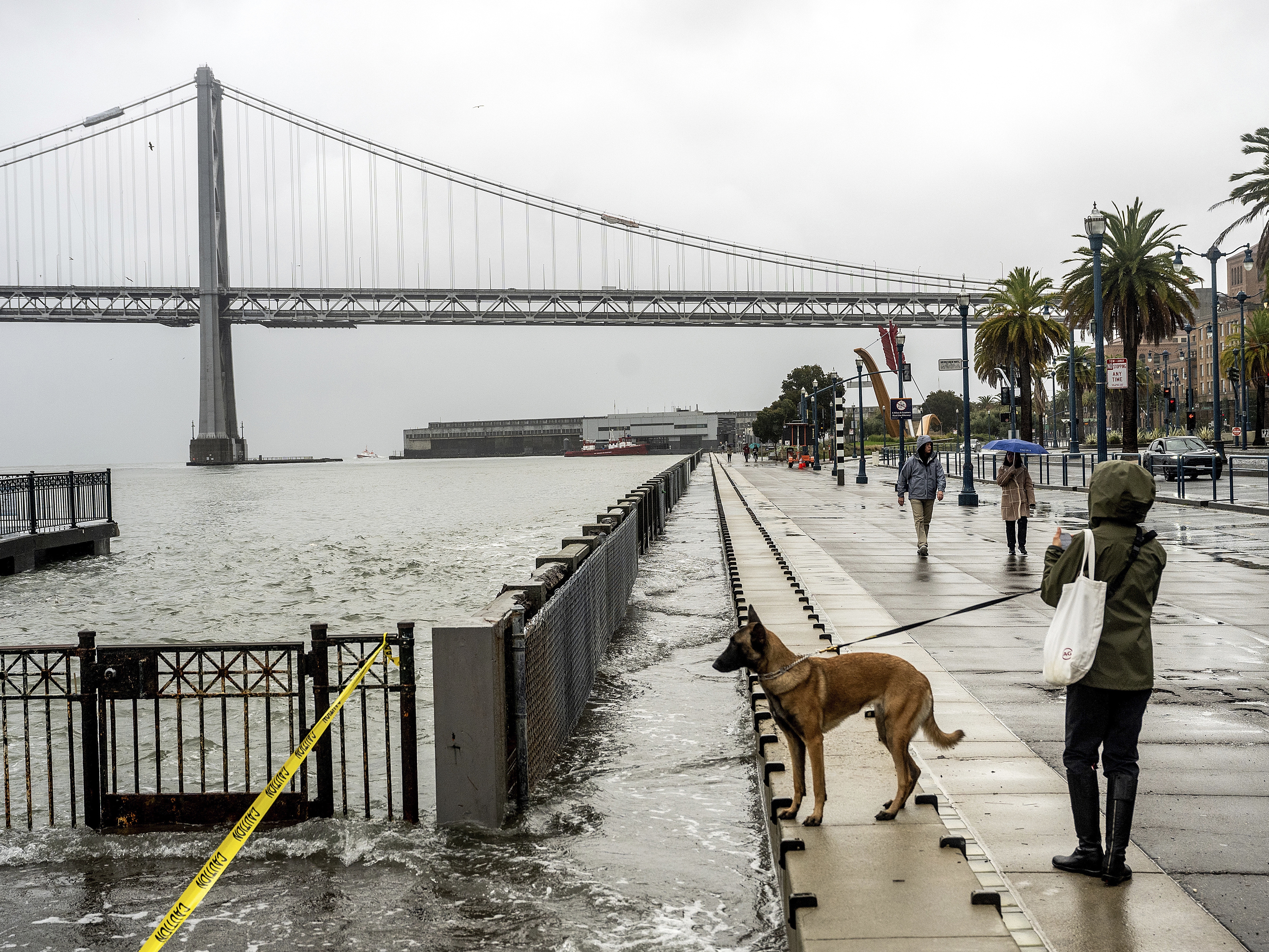 caption: Water from the San Francisco Bay spills onto the Embarcadero in San Francisco on Saturday, Dec. 14, 2024, as a result of high tides and storm-driven waves.