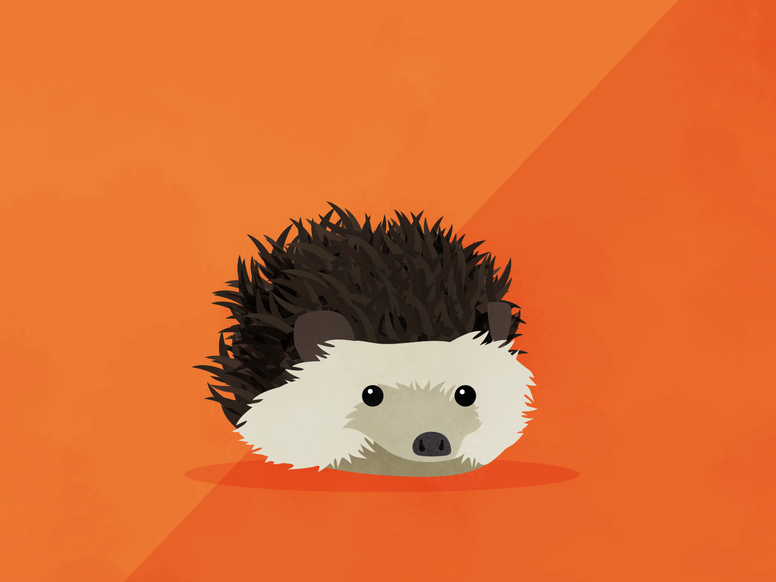 caption: Psychologist Phil Tetlock thinks the parable of the fox and the hedgehog represents two different cognitive styles. "The hedgehogs are more the big idea people, more decisive," while the foxes are more accepting of nuance, more open to using different approaches with different problems.