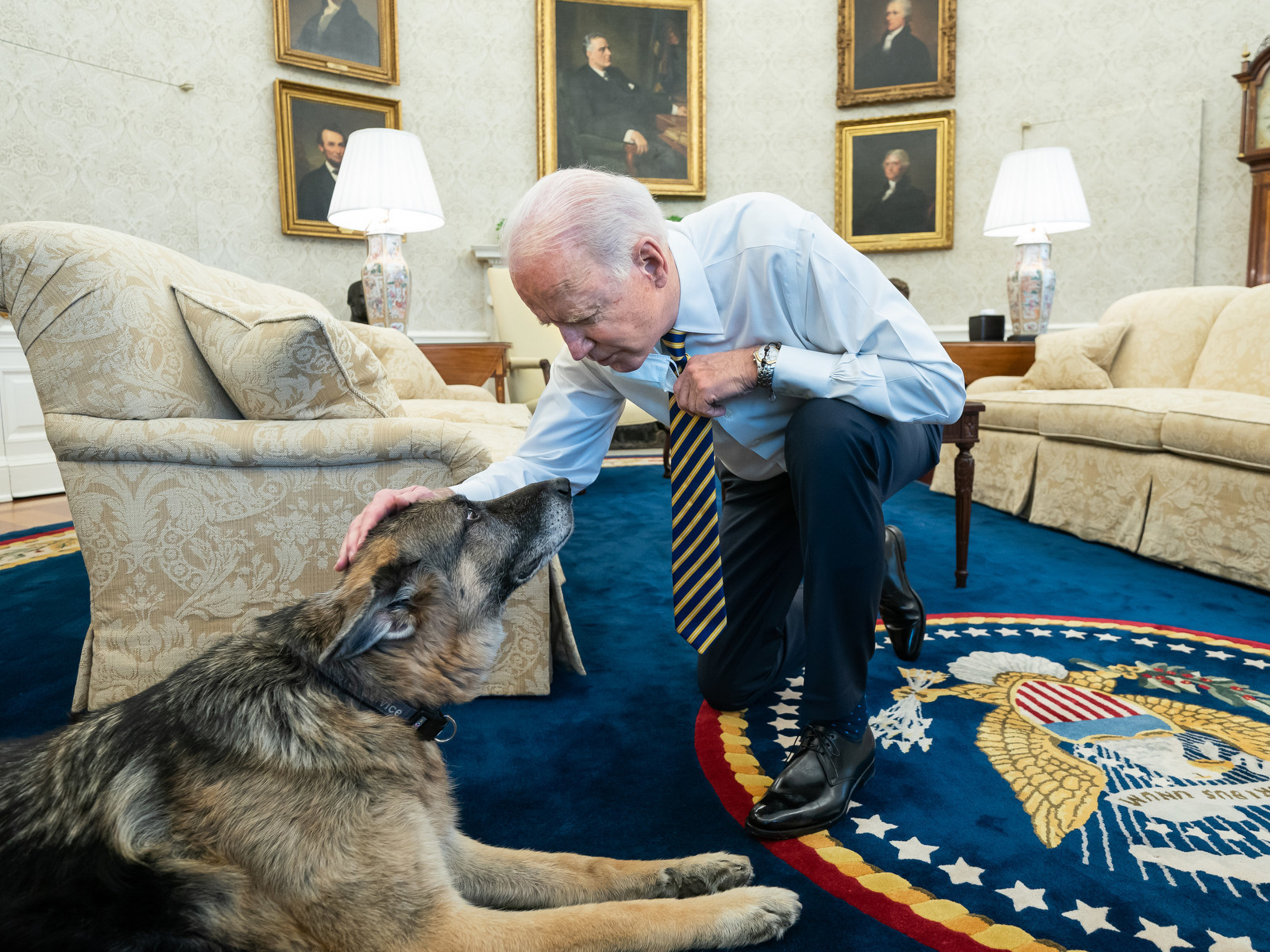 caption: President Biden pets Biden family dog Champ in the Oval Office in February. On Saturday, Joe and Jill Biden announced that Champ had died.