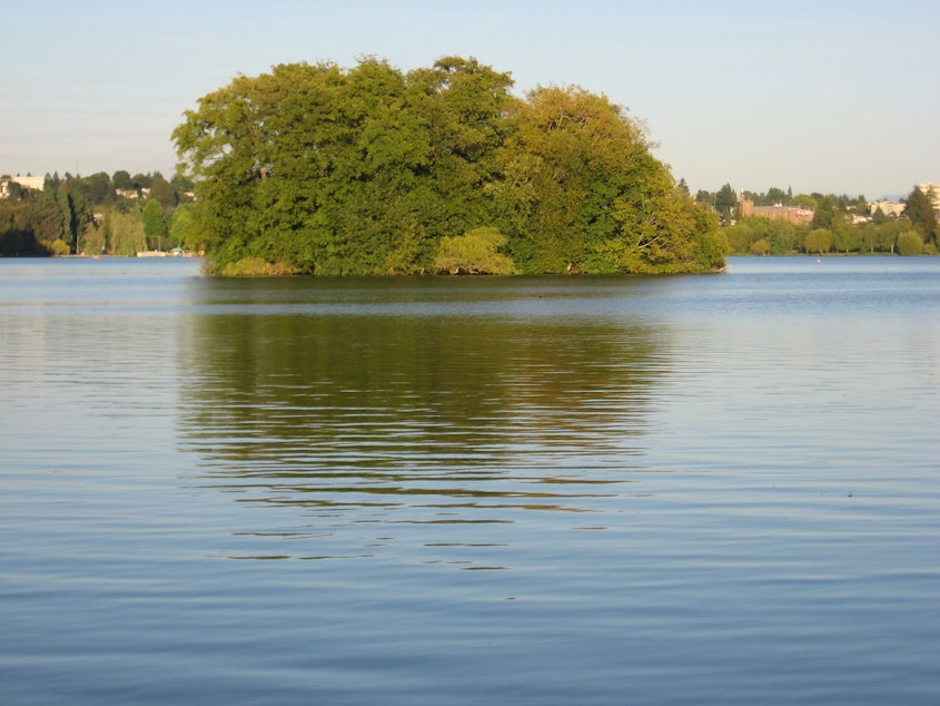 caption: Duck Island in the middle of Green Lake, Seattle.
