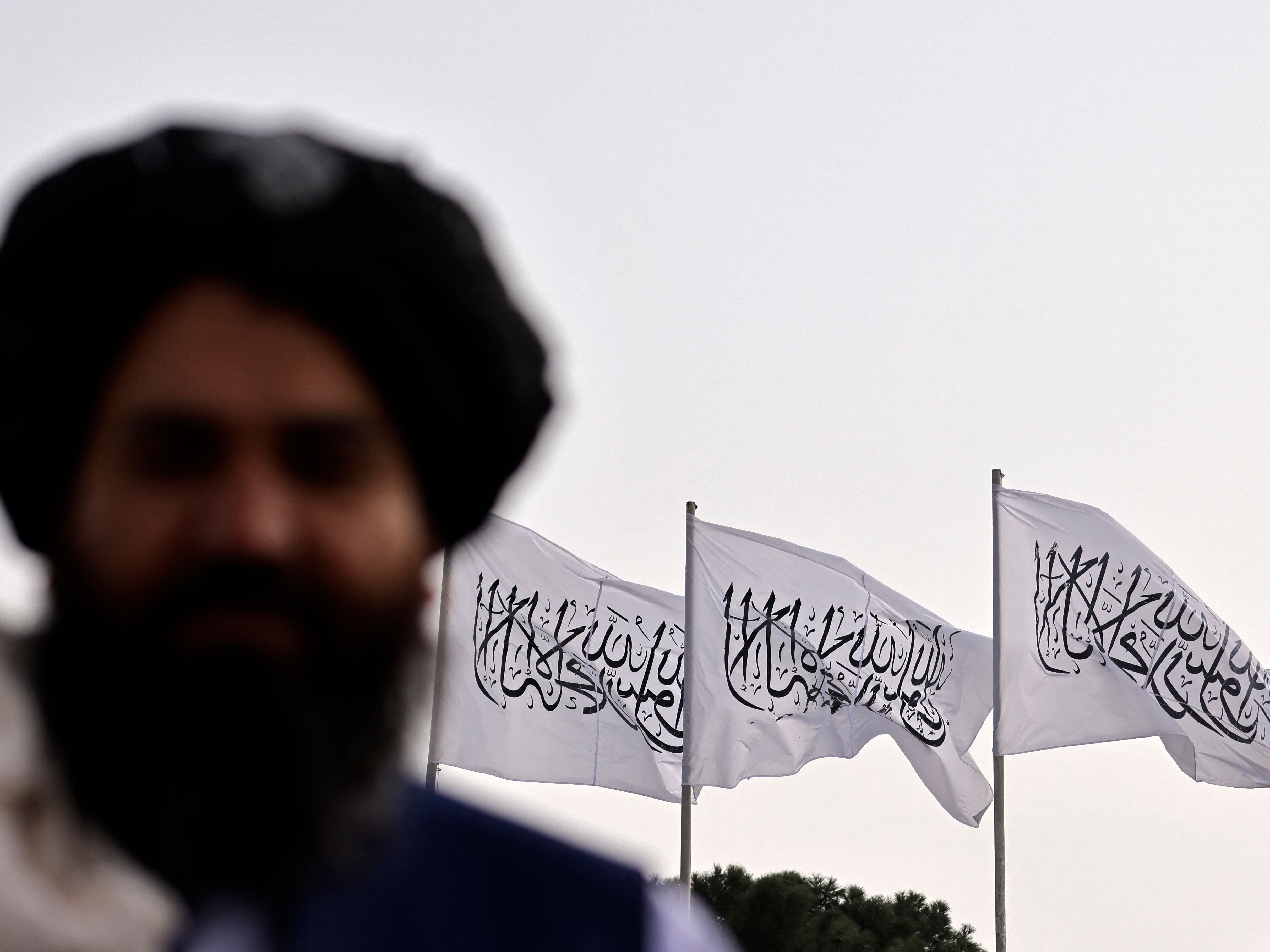 caption: A Taliban fighter is pictured against the backdrop of Taliban flags installed at Kabul's international airport on September 11, 2021.