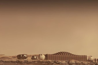 caption: A conceptual rendering of Mars Dune Alpha on Mars. NASA is seeking applicants for a "one-year analog mission in a habitat to simulate life on a distant world" to live in a 1,700-square-foot habitat with three other people on Earth.