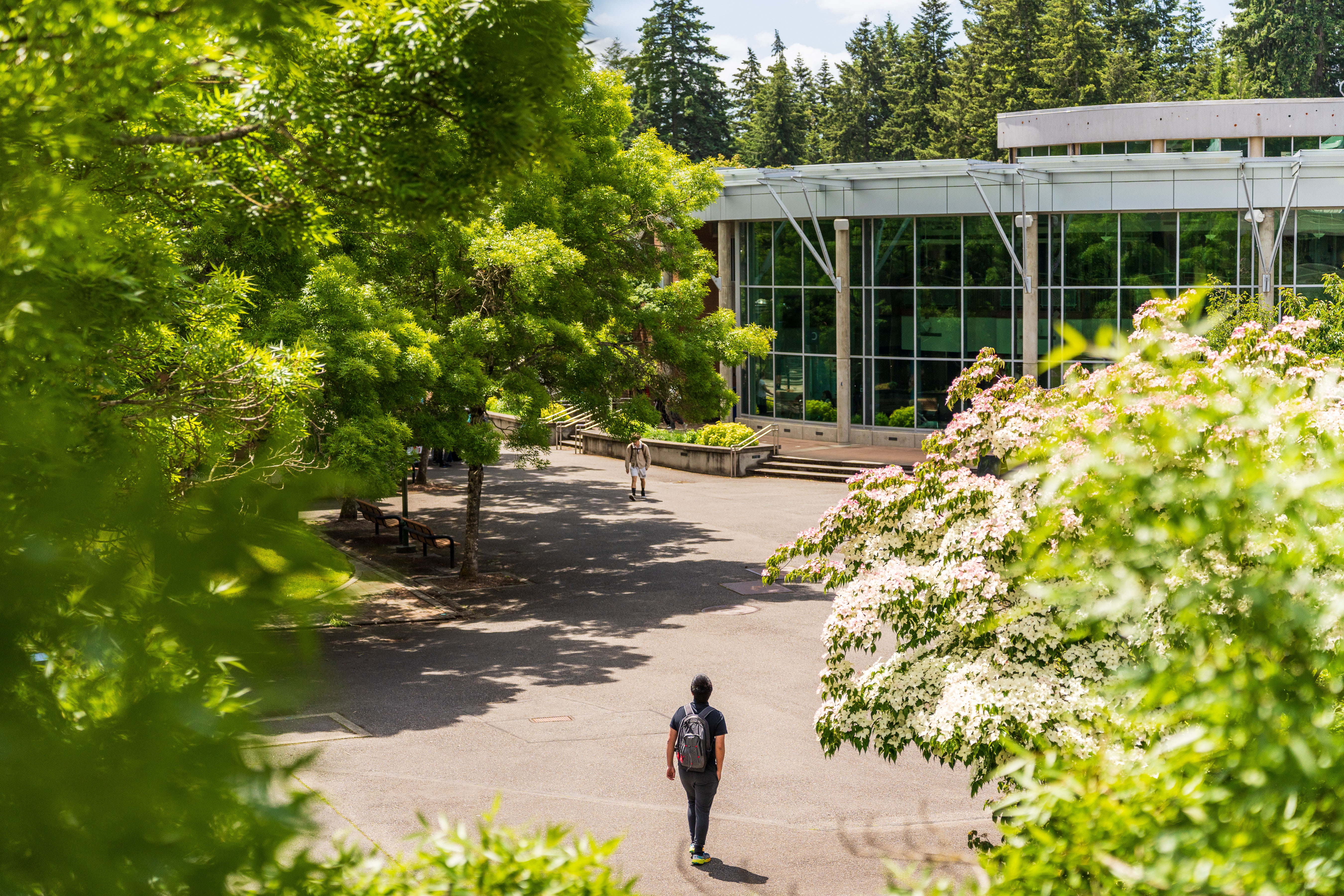 caption: Bellevue College, one of 42 community colleges in Washington state.