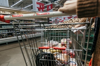 caption: A person pushes a cart through a grocery store. 