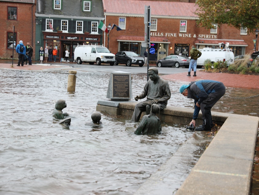 caption: High tide flooding in downtown Annapolis, Md., in 2021. The number of days with high tide flooding is accelerating on the East and Gulf coasts.
