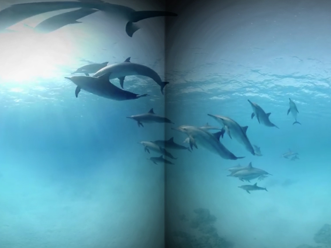 caption: Though not the same as actually jumping into the waves, a virtual reality program like this one that let a headset-wearing patient "swim with dolphins" was enough of an immersive distraction to significantly reduce pain, a study found.