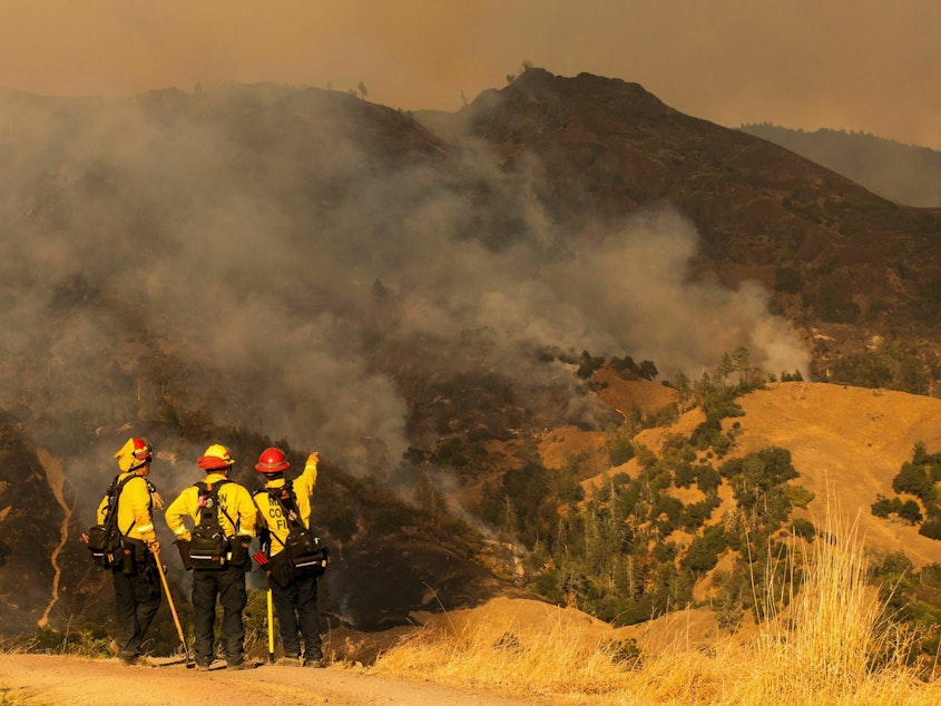 caption: Firefighters survey the fire during operations to battle the Kincade Fire in Healdsburg, Calif., on Oct. 26, 2019.