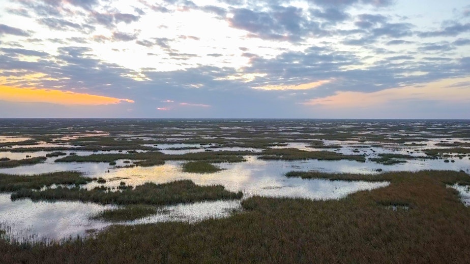 caption: The Florida Everglades — more than 4 million acres of subtropical wilderness.