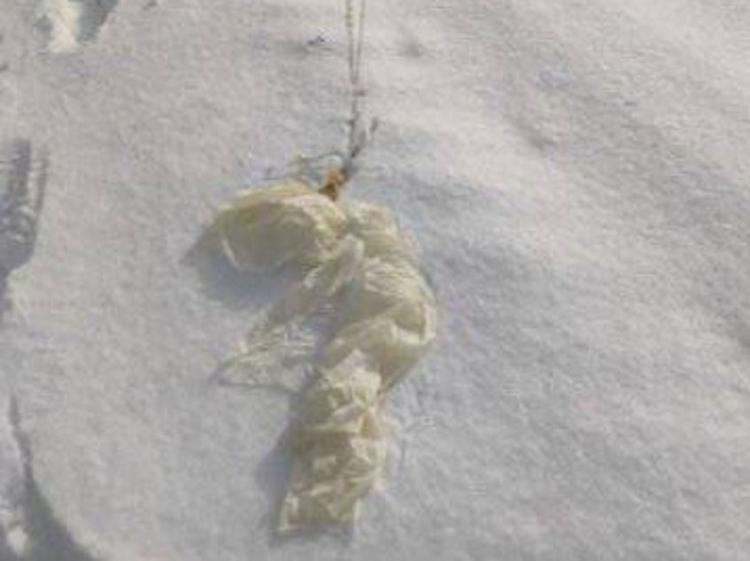 caption: One of the balloons the General Staff of the Armed Forces of Ukraine says they shot down.