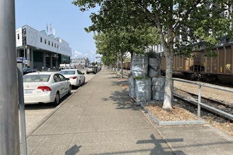 caption: This stretch of Alaskan Way is sort of a "missing link" connecting the park space on Seattle's central waterfront and the Olympic Sculpture Park. A $45 million gift will pay to make major sidewalk and bike lane improvements on the east (inland) side of Alaskan Way. This involves tearing out the old trolley tracks, and reconfiguring the area from the street curb to the train tracks, which are still used by trains.