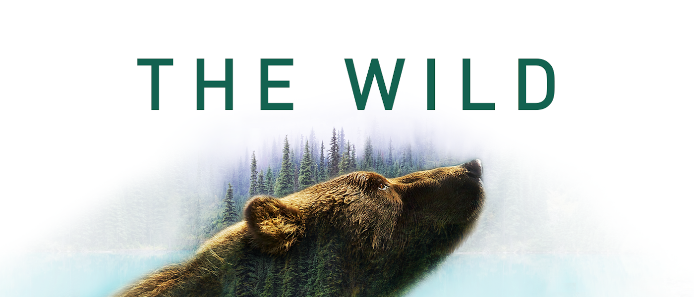 Thewild Fbcover2