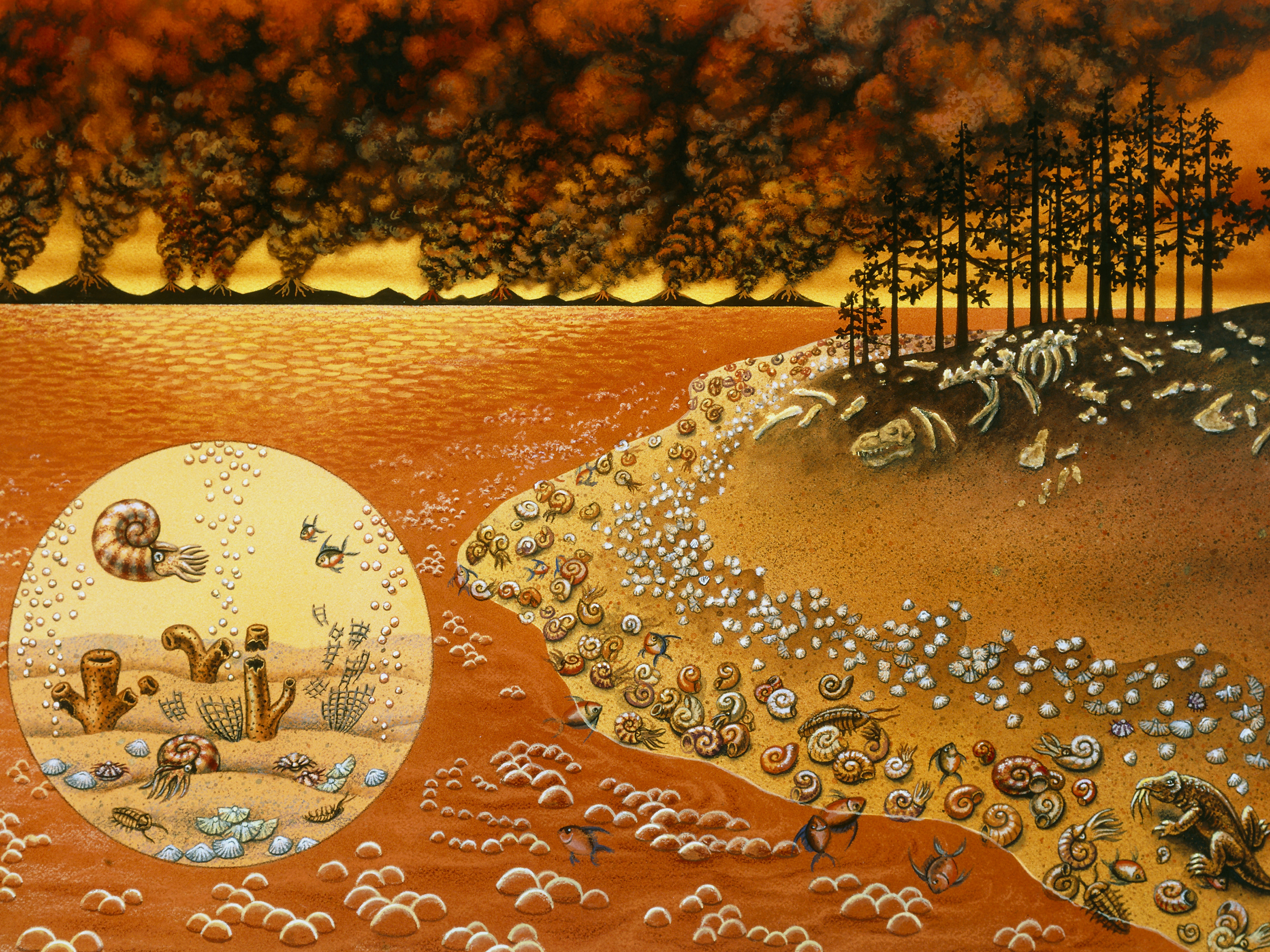 caption: An artist rendering of the mass extinction of life that occurred toward the end of the Permian Period, about 250 million years ago.