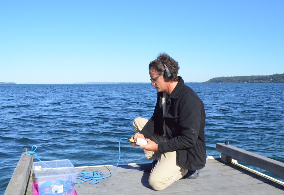 caption: Oceanographer Scott Veirs sets up a hydrophone at Whidbey Island's Bush Point to listen to ships and orcas.