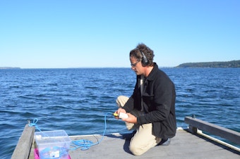 caption: Oceanographer Scott Veirs sets up a hydrophone at Whidbey Island's Bush Point to listen to ships and orcas.