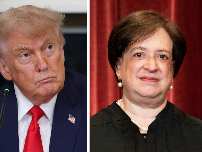 caption: The Trump administration asked Justice Elena Kagan for an administrative stay of a lower court decision pausing President Trump's massive government reorganization.