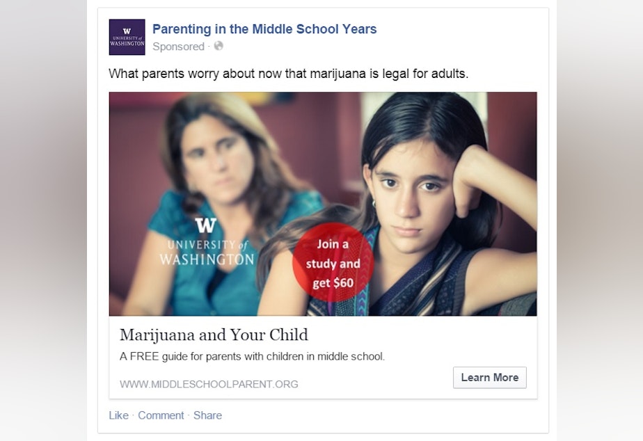 caption: Researchers say this ad targeting fears about marijuana use drew a high response.