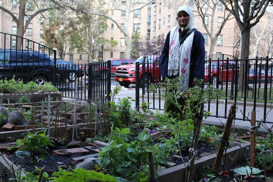 caption: Queensbridge Nayrin Muhith stands in front of her family's flower garden