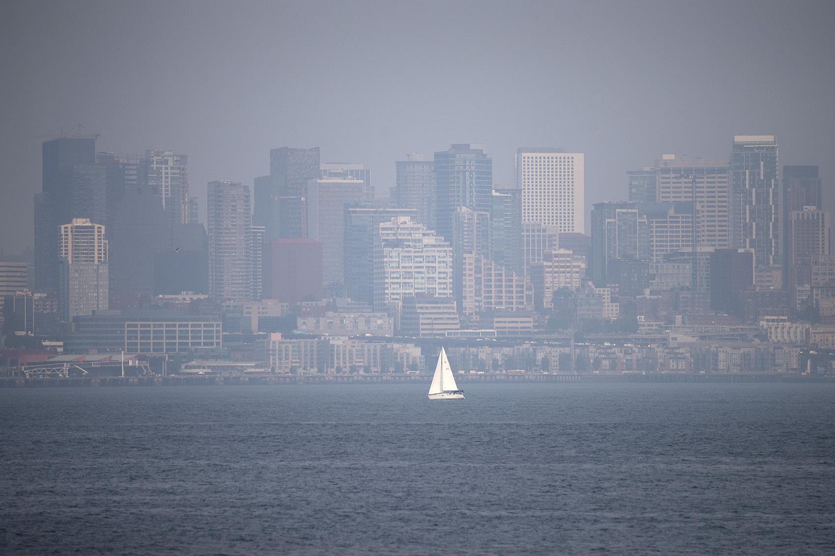 caption: A hazy Seattle skyline is shown on Tuesday, August 14, 2018, from Hamilton Viewpoint Park in West Seattle. 