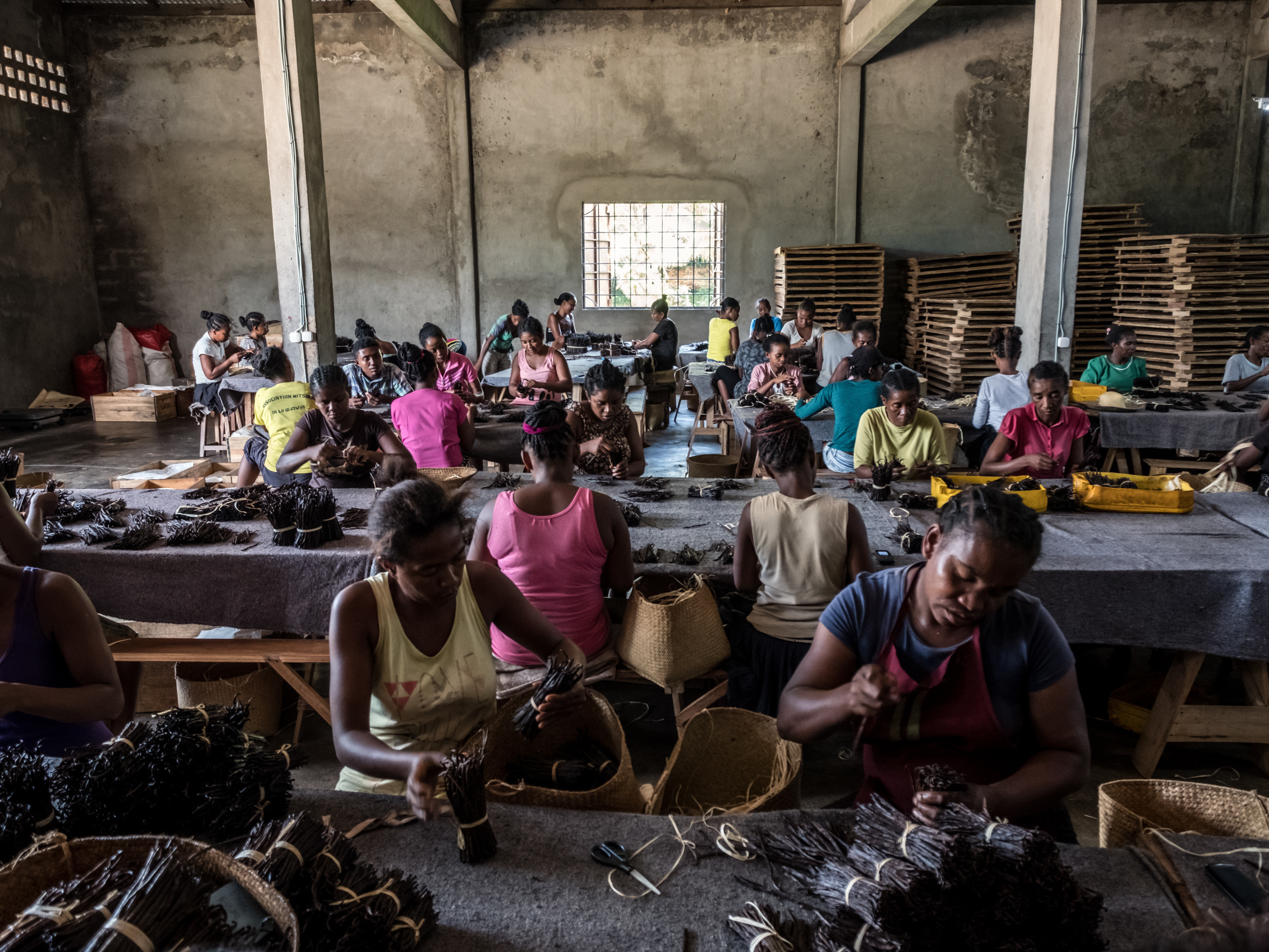 caption: Workers sort through bundles of vanilla at the Virginia Dare warehouse in Antsirabe Nord, Madagascar. When this photo was taken last year, the warehouse contained roughly $5 million worth of vanilla.
