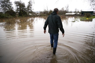 caption: Brent Swenson walks through floodwaters at his partner Shelley Pasco’s farm on Thursday, December 18, 2025, at Whistling Train Farm in Kent.