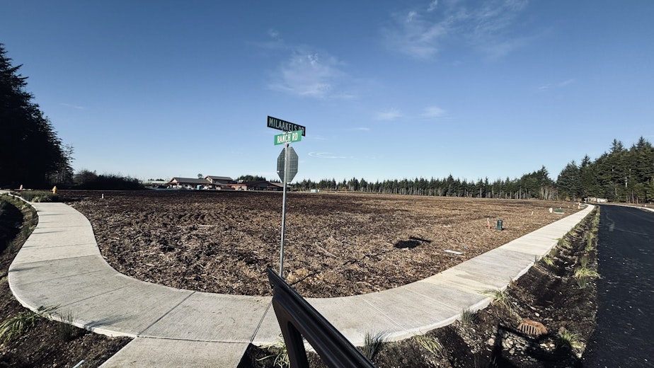 caption: The newly built intersection of Ranch Road and Milaakels Drive in the Quinault Reservation village of Taholah in November 2023. Milaakels is the Quinault word for camas, an important traditional food plant for many Northwest tribes.