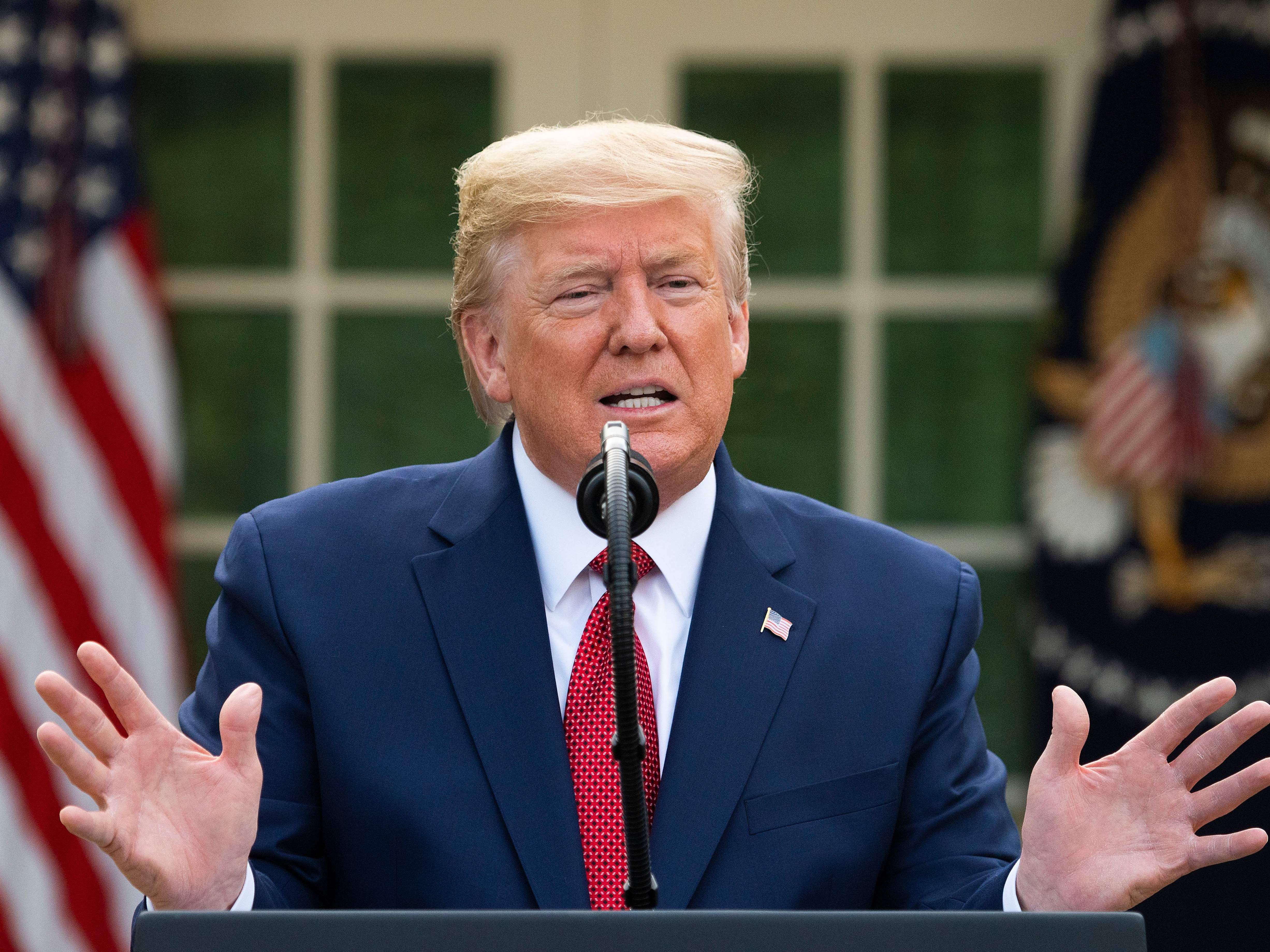 caption: President Trump speaks during a coronavirus task force press briefing on March 29.