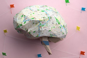caption: Scientists have built an enormous atlas of the human brain that could help them chart a path toward preventing and treating many different neurological disorders.