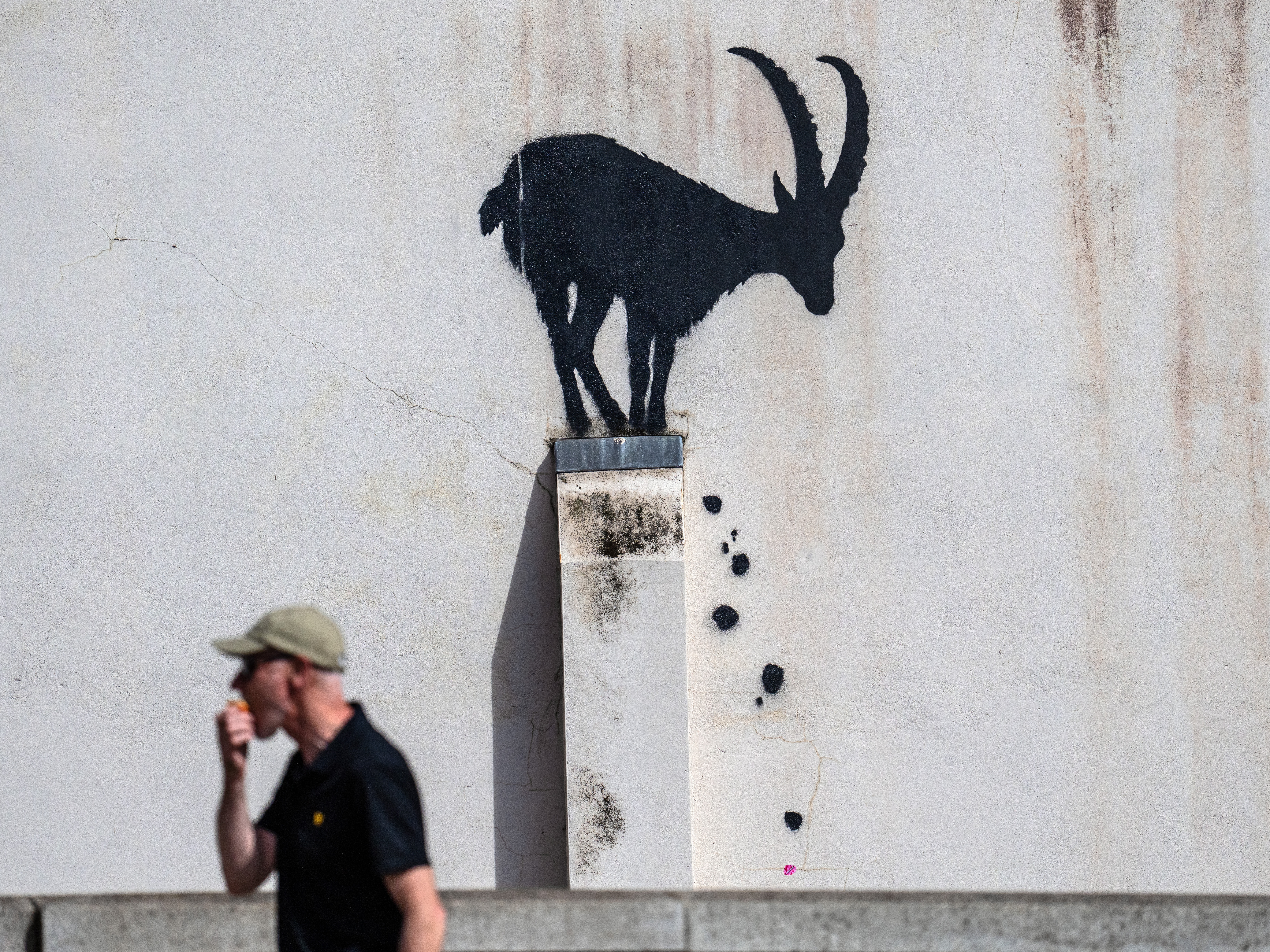 caption: A man eats an apple as he walks past a mural depicting a goat, purportedly by the street artist Banksy, on August 5, 2024 in the Richmond borough of London, England. 