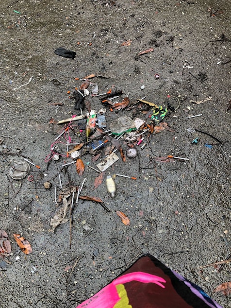 caption: A photo of needles and trash in Wallingford uploaded to Seattle's Find It, Fix It app, April 19, 2019. 