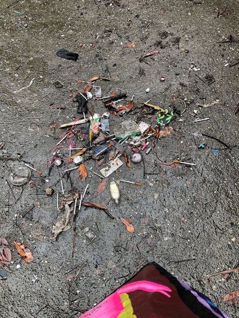 caption: A photo of needles and trash in Wallingford uploaded to Seattle's Find It, Fix It app, April 19, 2019.