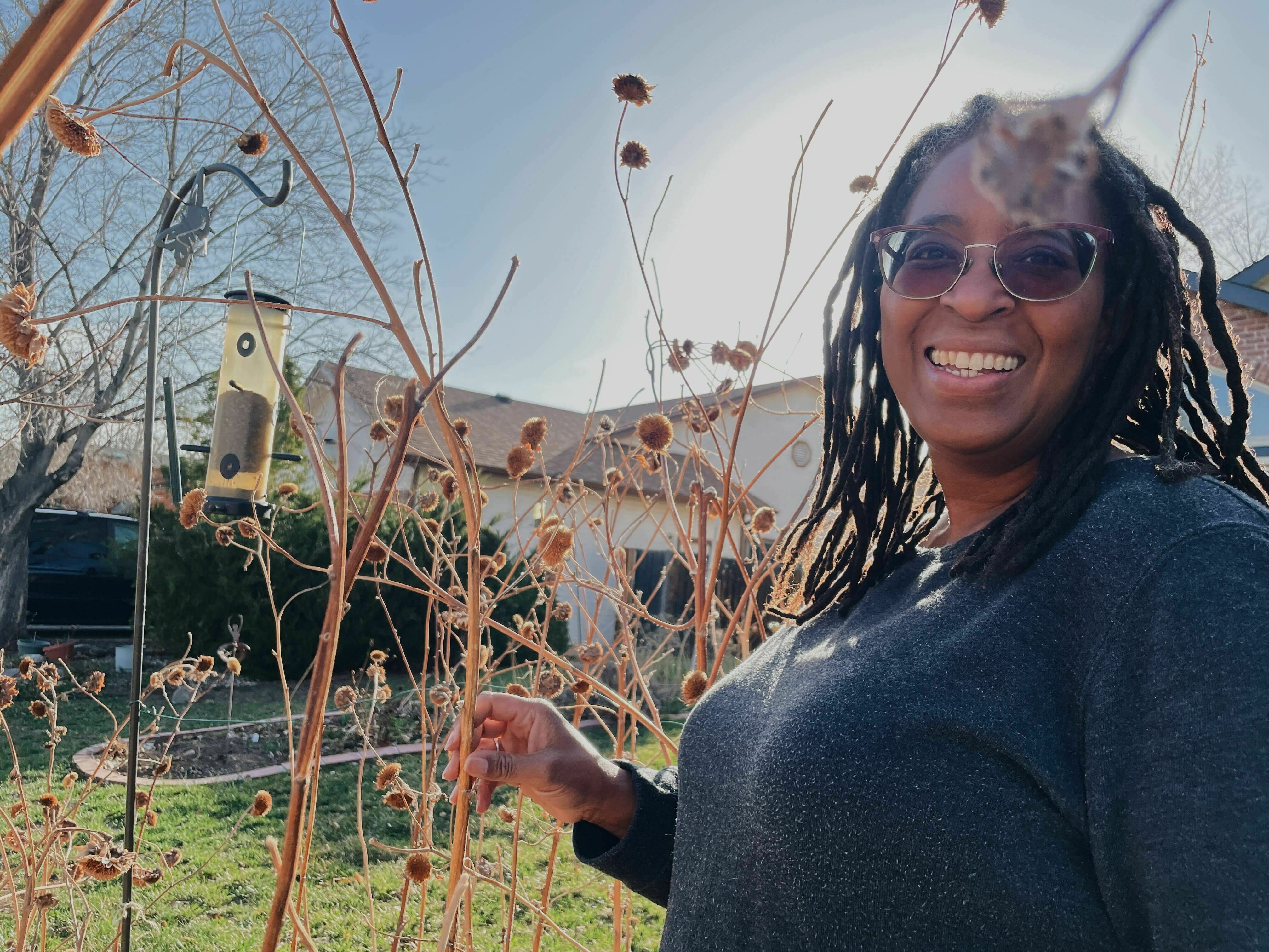 caption: Camille Dungy leaves the dead stalks of her sunflowers standing for winter interest and the occasional bird visitor.