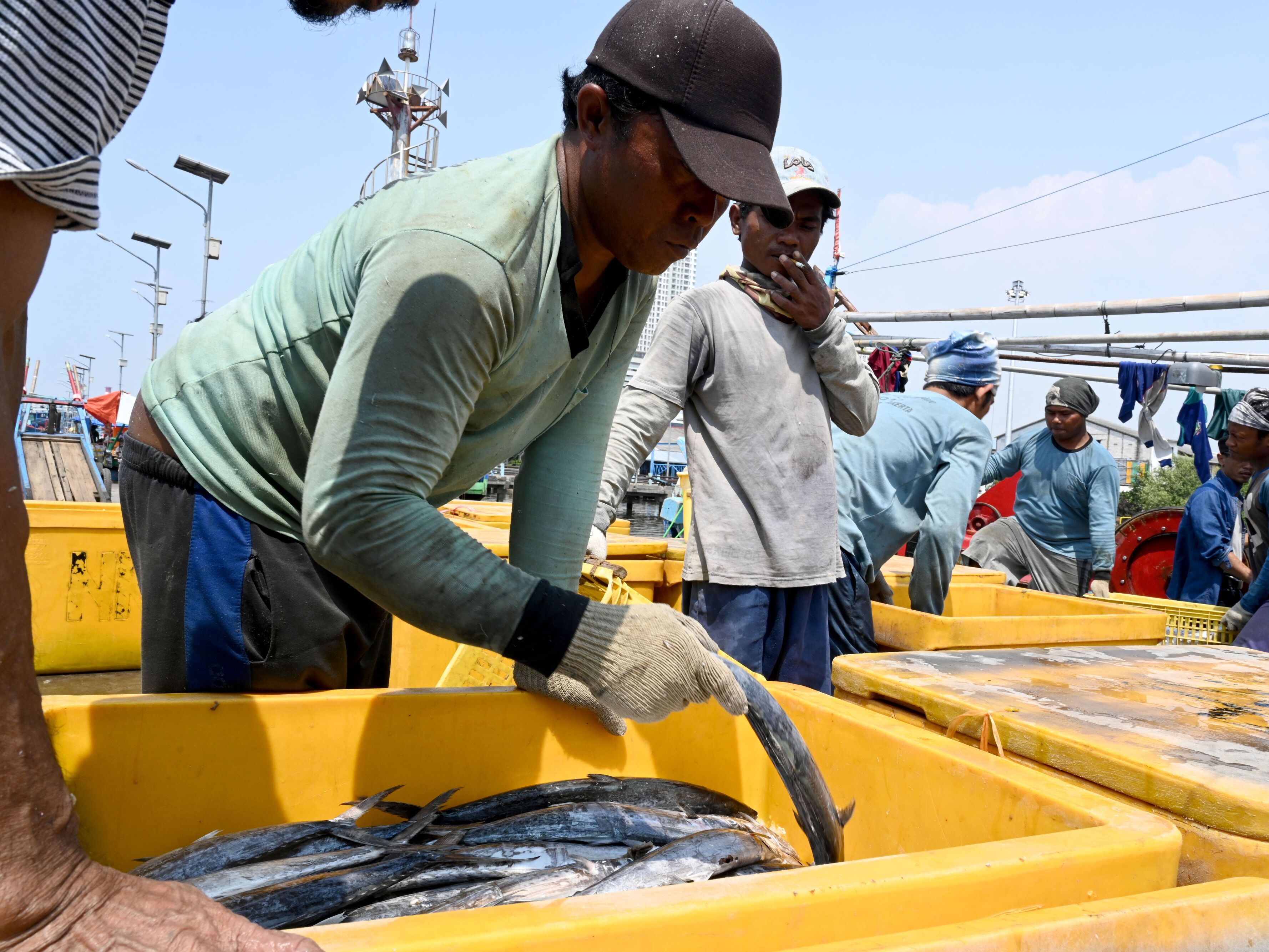 caption: Indonesian fishermen unload their catch at the port in Jakarta on May 5, 2019.