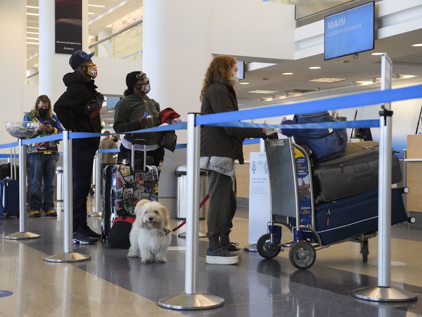 caption: Travelers wait to check baggage for an American Airlines flight at Los Angeles International Airport on Wednesday. The Centers for Disease Control and Prevention is urging people to not travel for Thanksgiving.