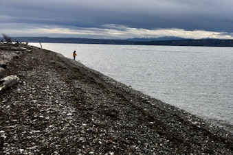 caption: A child plays at Cama Beach State Park on Camano Island, with Whidbey Island and the Olympic Mountains in the distance.