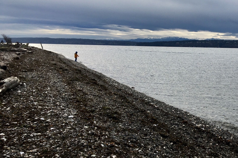 caption: A child plays at Cama Beach State Park on Camano Island, with Whidbey Island and the Olympic Mountains in the distance.