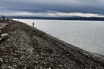 caption: A child plays at Cama Beach State Park on Camano Island, with Whidbey Island and the Olympic Mountains in the distance.