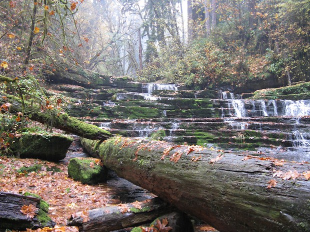caption: <p>The Devil's Staircase, a series of cataracts on Wassen Creek in southwest Oregon.</p>