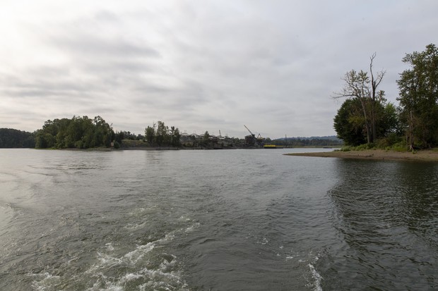 caption: <p>The Ross Island Lagoon is the site of a recent blue-green algae bloom contaminating the Willamette river.&nbsp;</p>