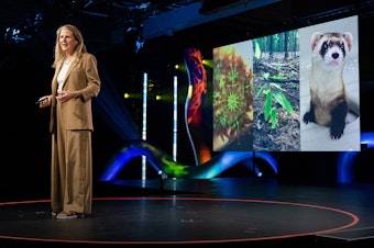 Ryan Phelan speaks at TEDMonterey on August 3, 2021. TEDMonterey: The Case for Optimism. August 1-4, 2021, Monterey, California. Photo: Bret Hartman / TED