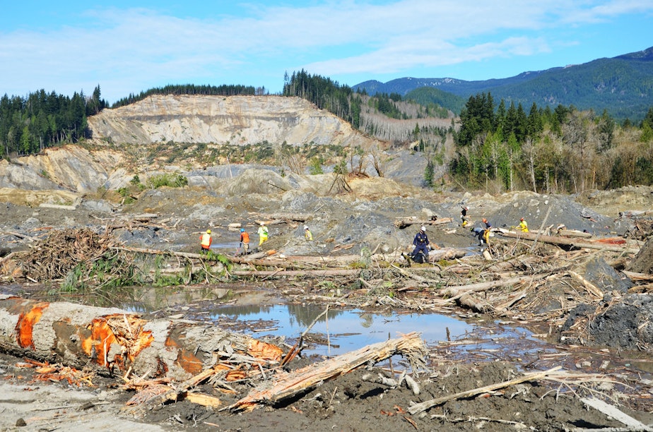 caption: The site of the deadly Oso, Washington mudslide on March 22, 2014.
