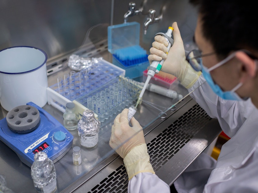 caption: An engineer works in April on an experimental COVID-19 vaccine at Sinovac Biotech's facilities in Beijing. Sinovac Biotech is conducting one of four clinical trials that have been authorized in China.