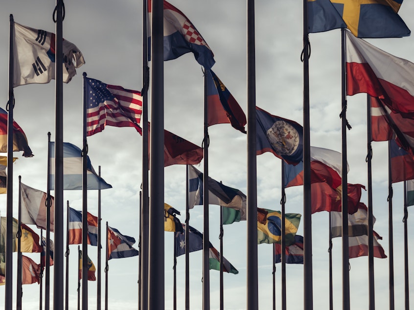 caption: Flags of different nations. The new Freedom House report finds that the gap between the number of countries where freedom has improved and where it has declined is at its narrowest in 17 years.
