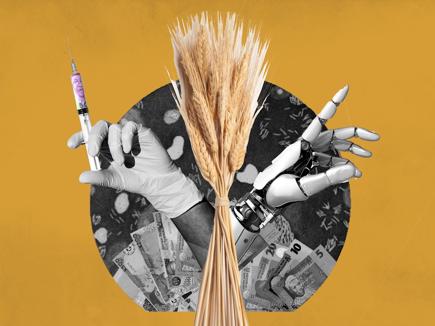Neglected diseases like noma, the impact of diaspora money, artificial intelligence and the promotion of locally grown foods are four topics proposed by our authors for discussion at the U.N.'s General Assembly.